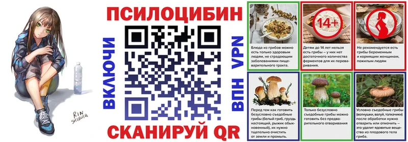 Псилоцибиновые грибы Cubensis магазин Таруса